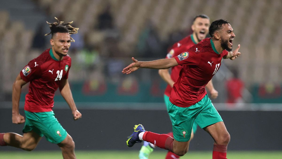 Afcon 2021: Halilhodzic happy with Morocco’s win against Morocco