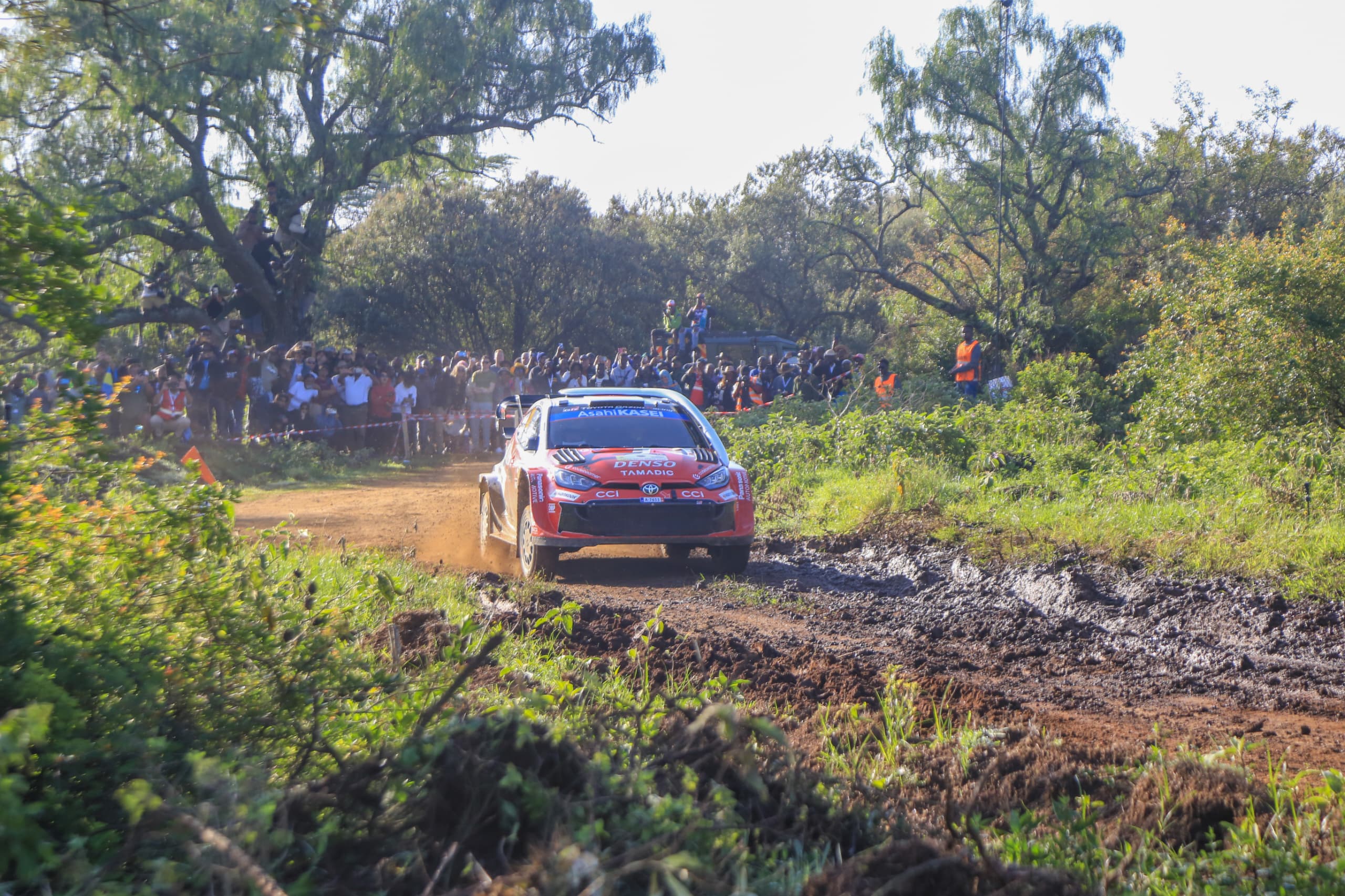 SAFARI RALLY: Long Wait Is Over—It’s Now Action