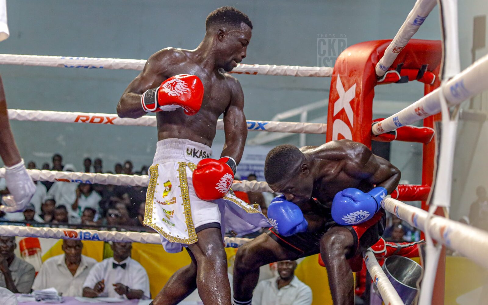 Ukasha’s commanding return and historic Para-Bout headline week four of Uganda Boxing Champions League
