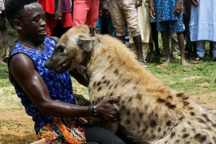 The Price of Carrying a Friend: Lessons from Kampala’s pork joints to Kifuuta Katooke