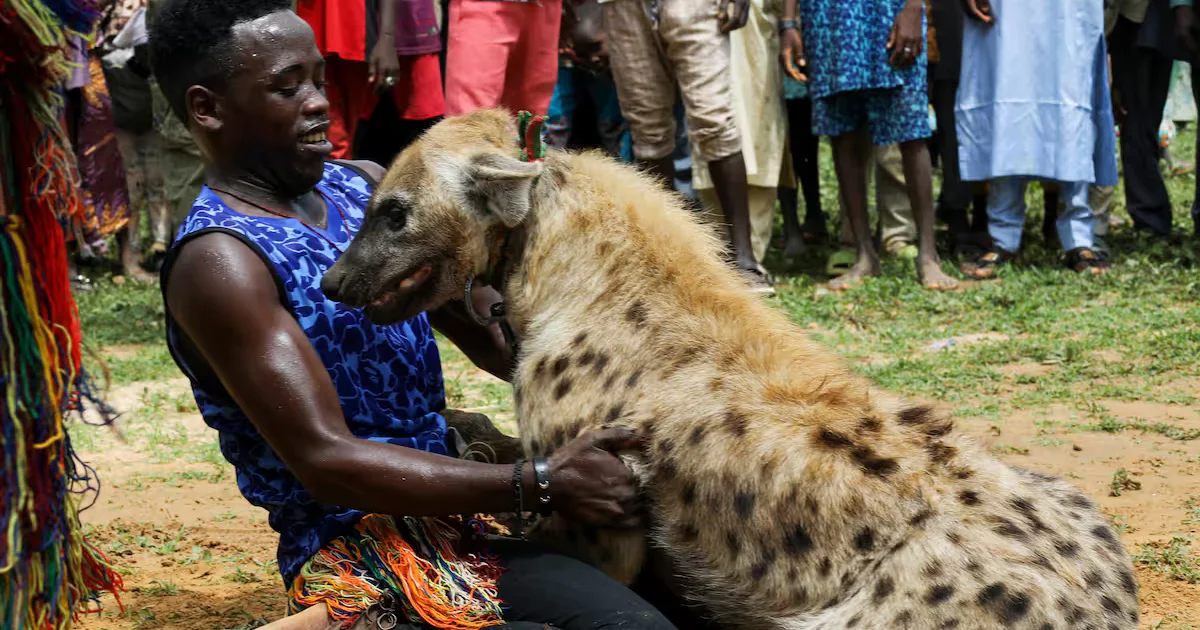 The Price of Carrying a Friend: Lessons from Kampala’s pork joints to Kifuuta Katooke