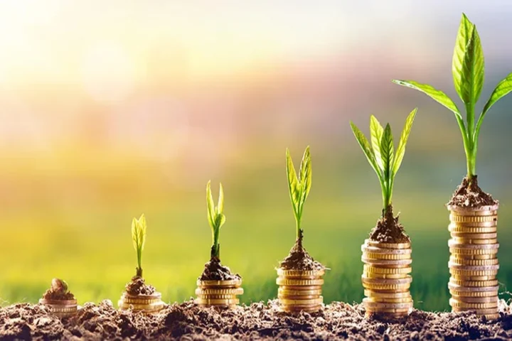 Misagga Challenges Ugandan Banks to Fund Ideas, Not Just Established Businesses
