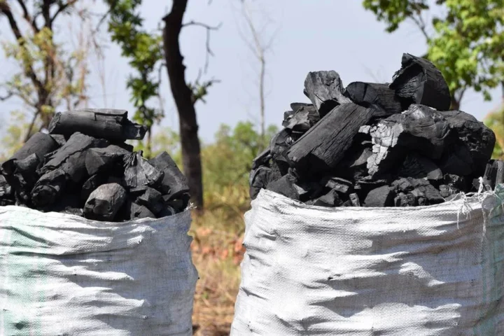 Ban poverty, not charcoal, in Uganda’s forest conservation drive