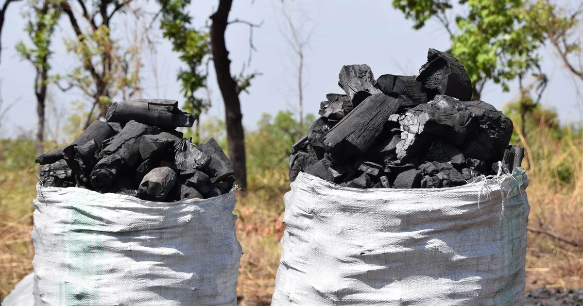 Ban poverty, not charcoal, in Uganda’s forest conservation drive