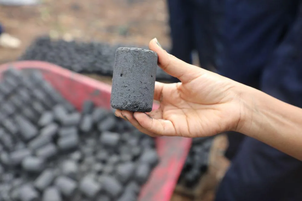 From Kiteezi’s Waste Crisis to a Green-Energy Revolution: Can garbage briquettes save Uganda’s forests?
